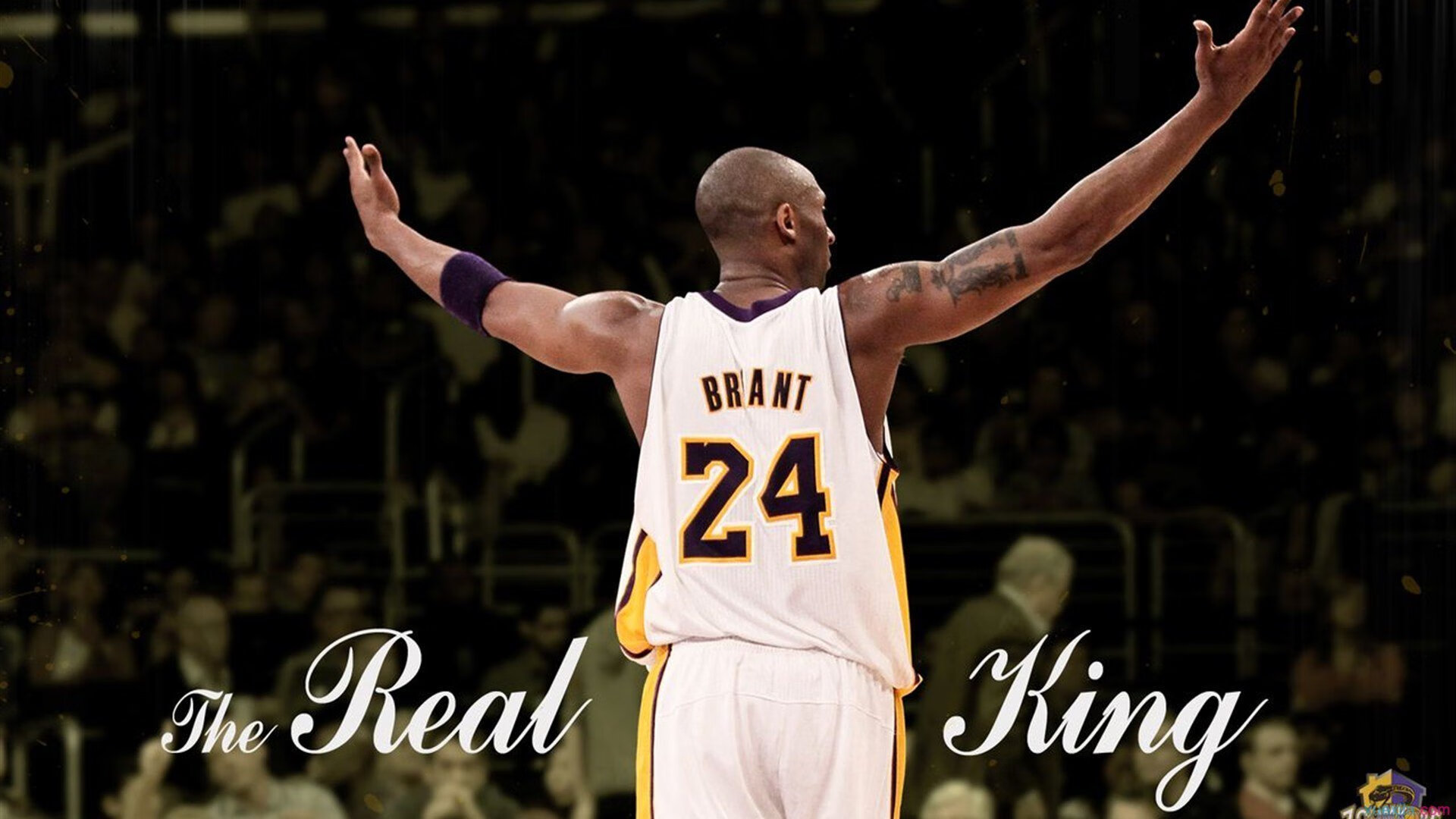 少年梦在篮筐上闪闪发光，少年梦在篮筐上闪闪发光